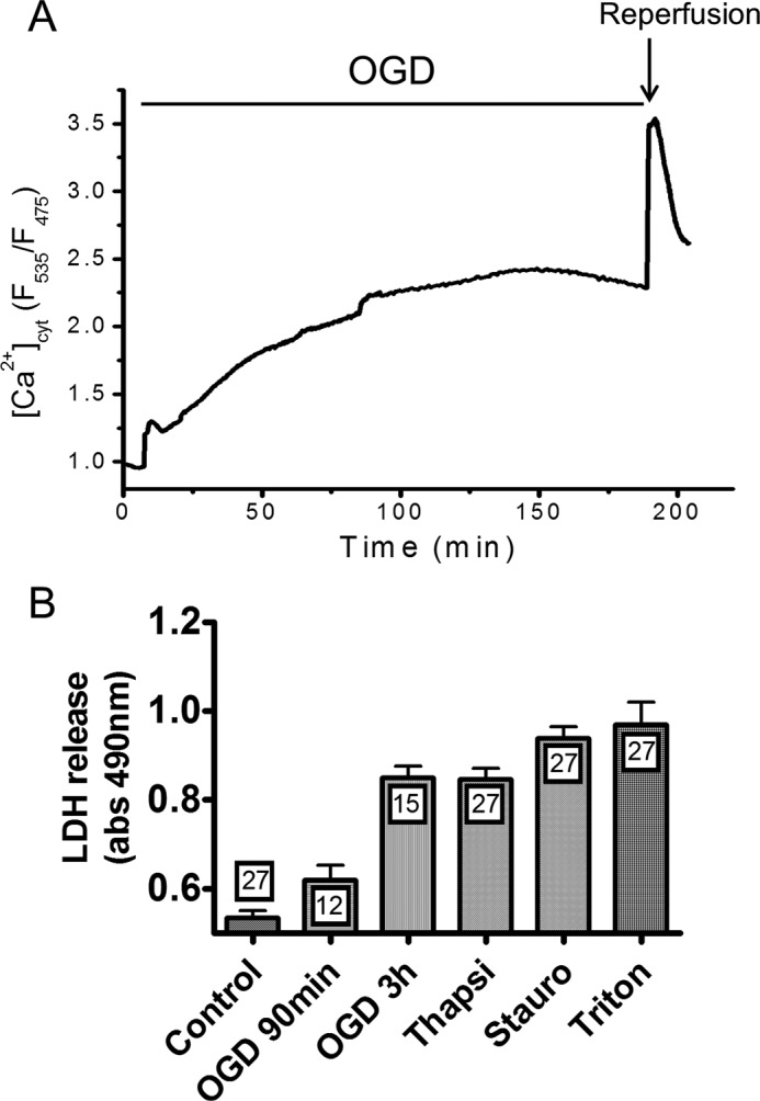 FIGURE 1.