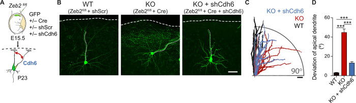 Fig. 9