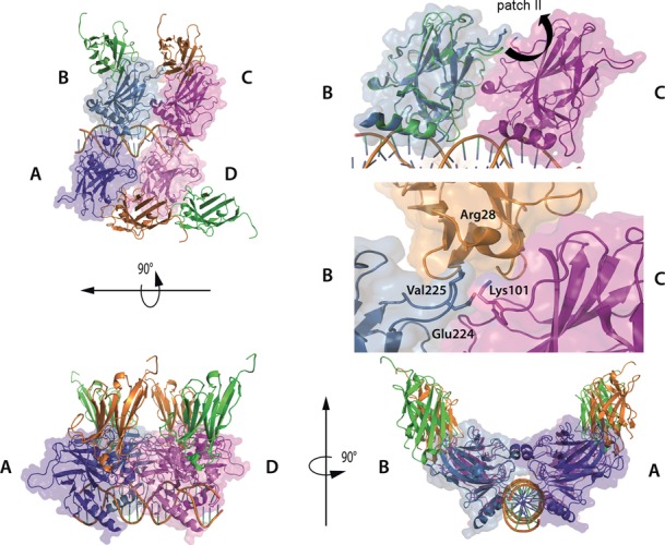 Figure 5.