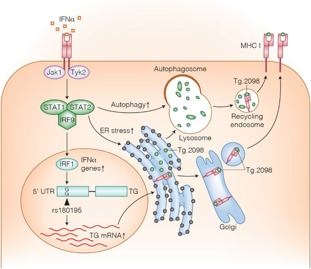 Figure 1: