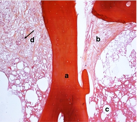 Fig. 5