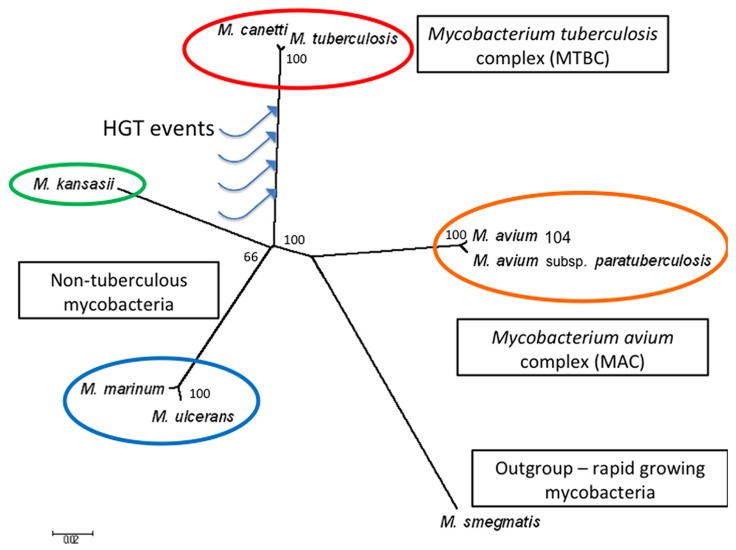 FIGURE 1