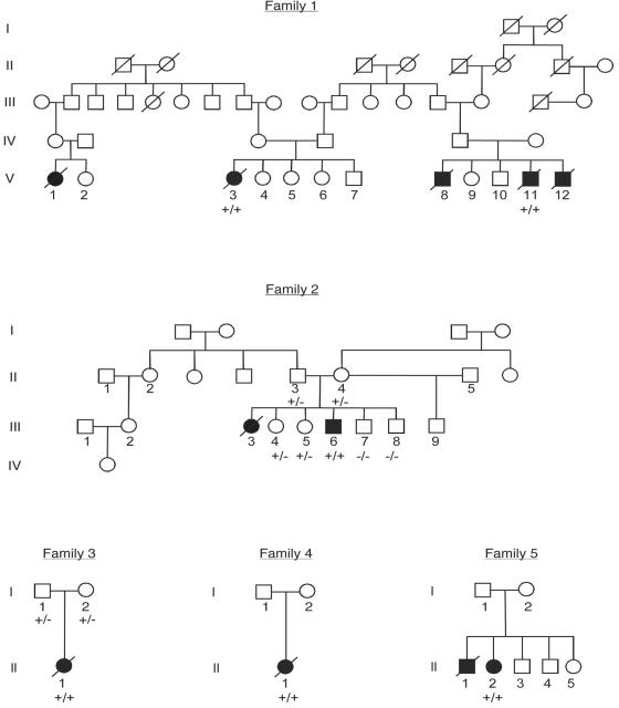 Figure  1. 