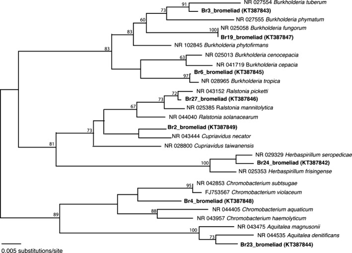 Figure 2