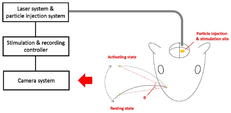 Fig. 3