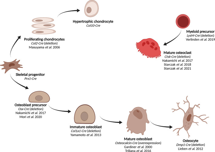 Fig 1