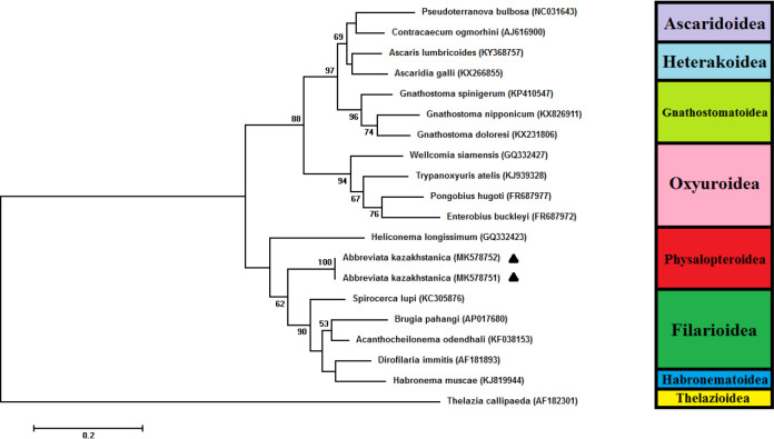 Fig. 2: