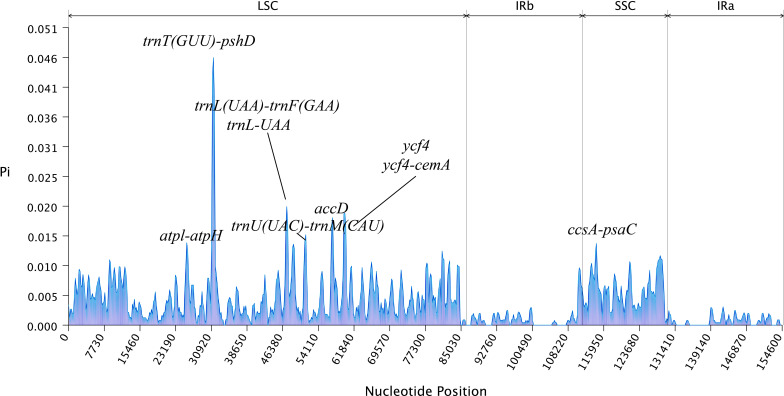 Figure 6