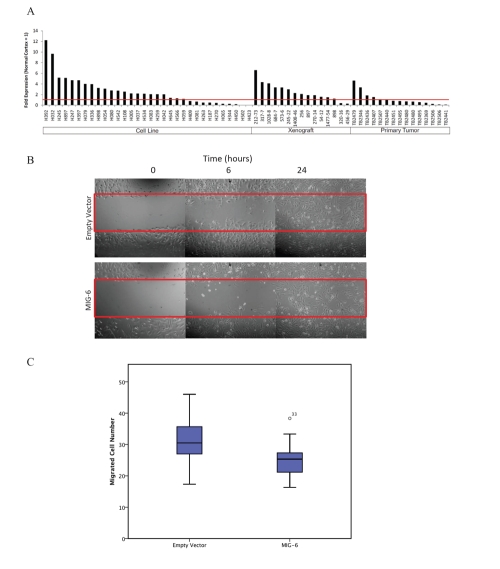 Figure 4: