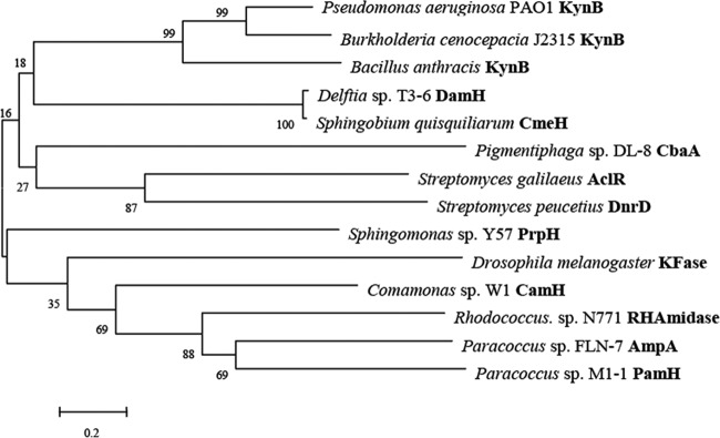 FIG 6