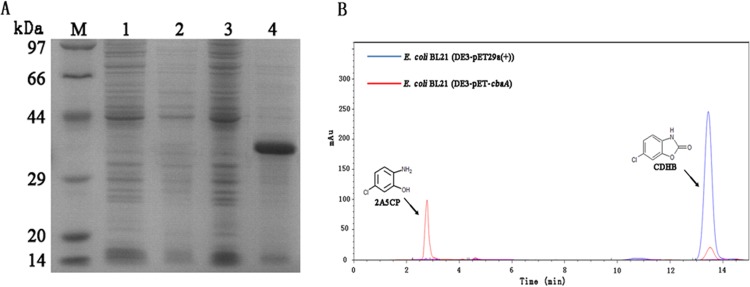 FIG 8
