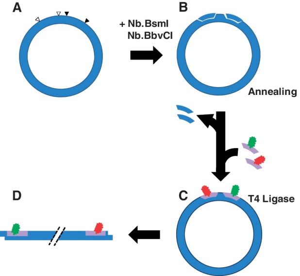 Figure 3.