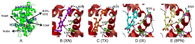 Fig. 6