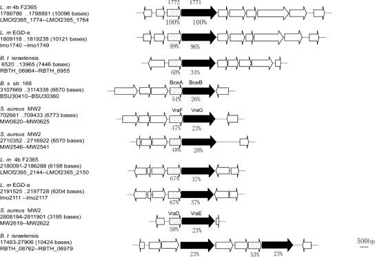 FIG. 4.