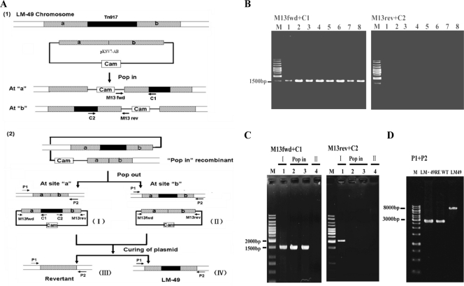 FIG. 3.