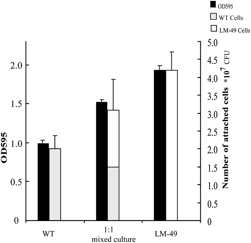 FIG. 6.