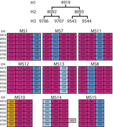 Fig. 4.