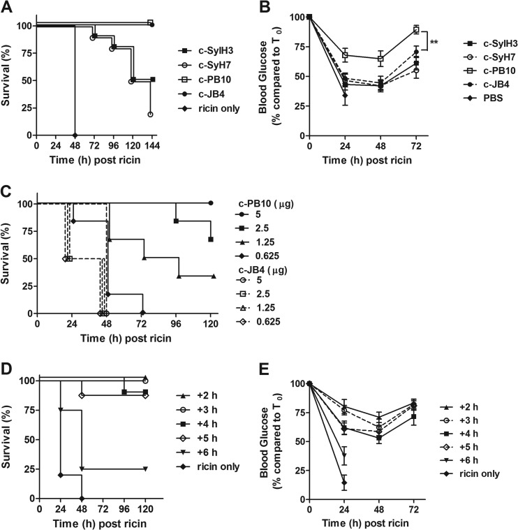 FIG 2