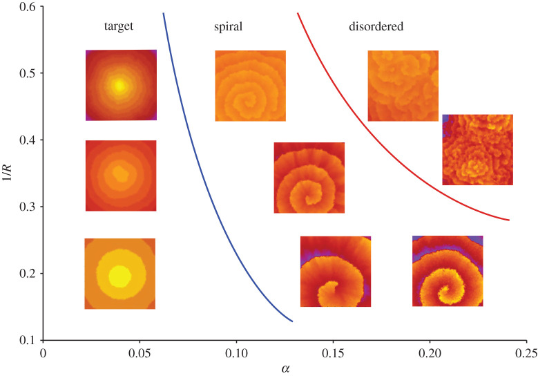 Figure 5.