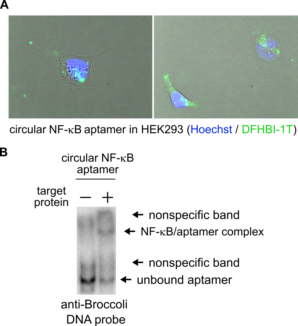 Figure 2: