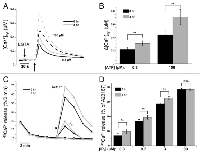 Figure 3.