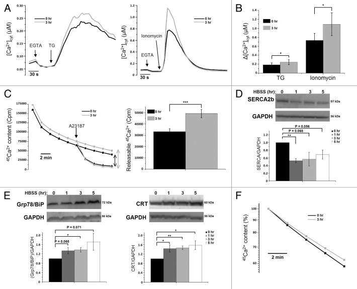 Figure 2.