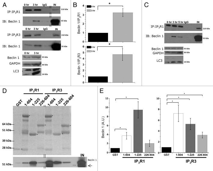 Figure 4.