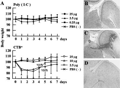 FIG. 8.