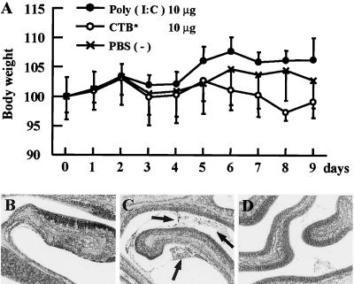 FIG. 7.