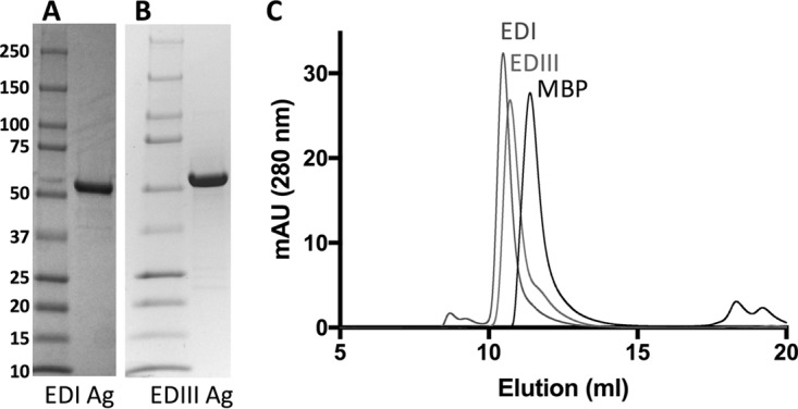 FIG 2