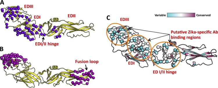 FIG 1