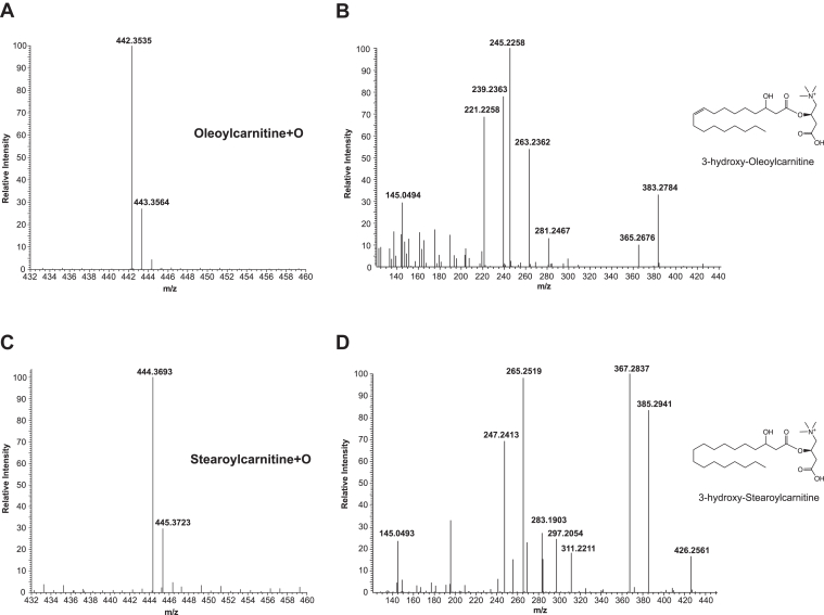 Fig. 4