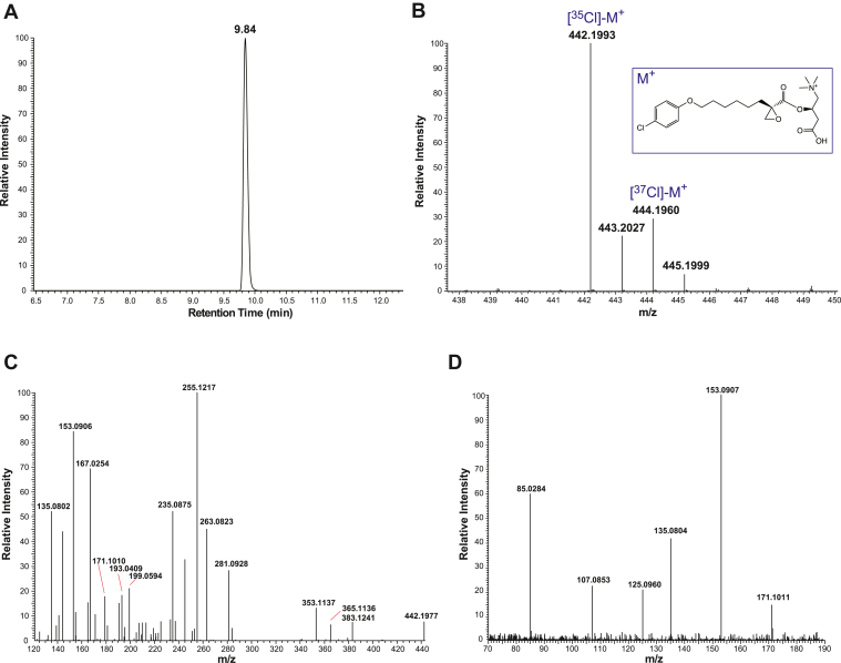 Fig. 2