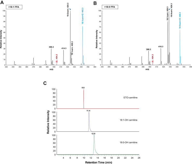 Fig. 3