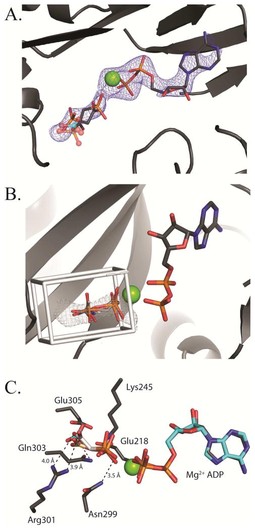 Figure 5