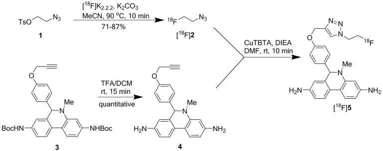 Scheme 1