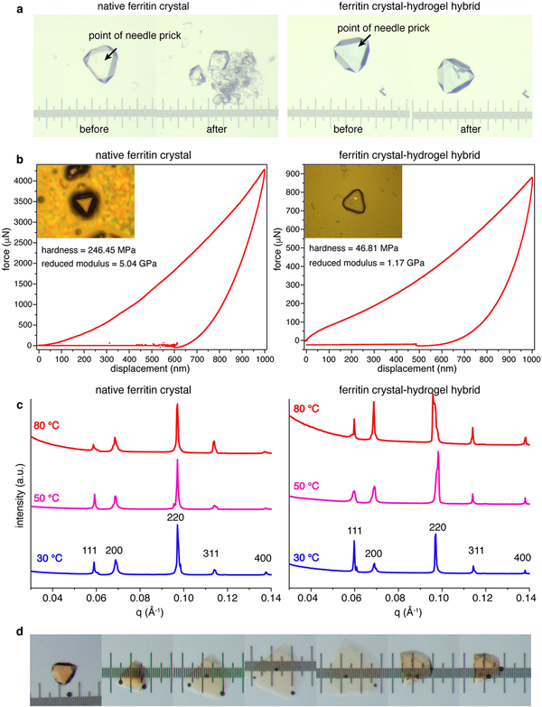 Extended Data Fig. 9 |