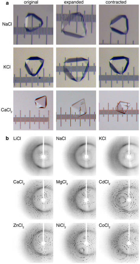 Extended Data Fig. 5 |