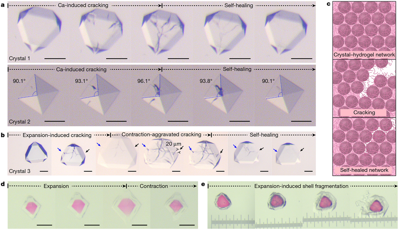 Fig. 4 |