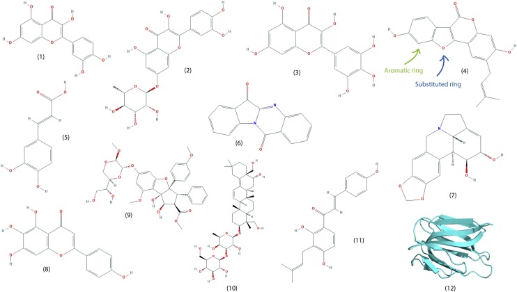 Fig. 2