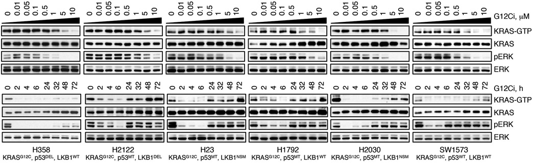 Extended Data Fig. 1.