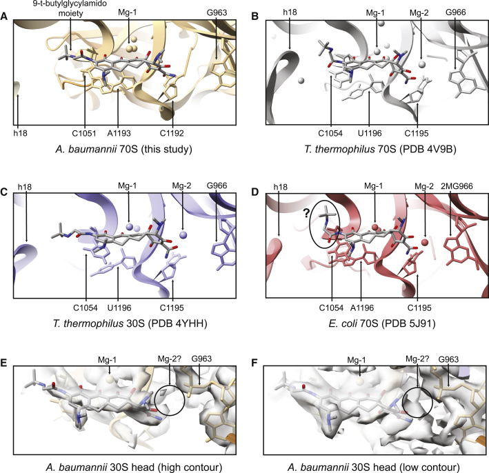 Figure 6