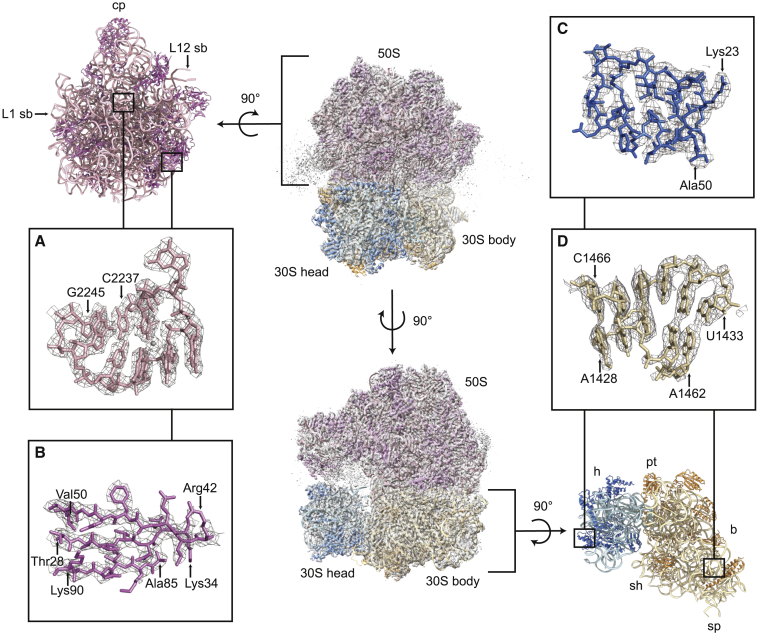 Figure 1