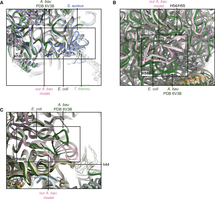 Figure 4