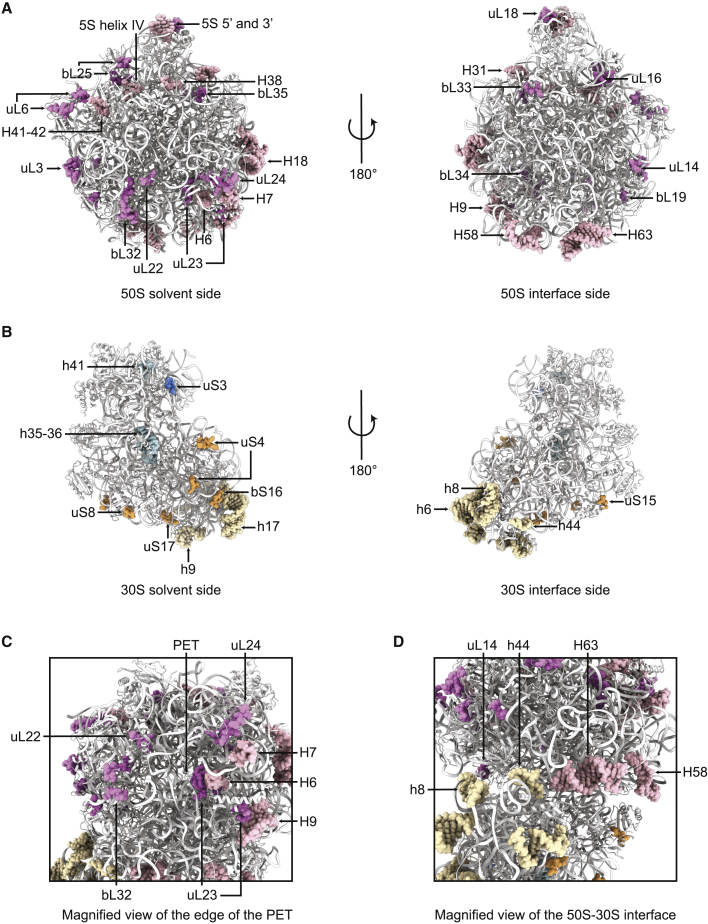 Figure 2