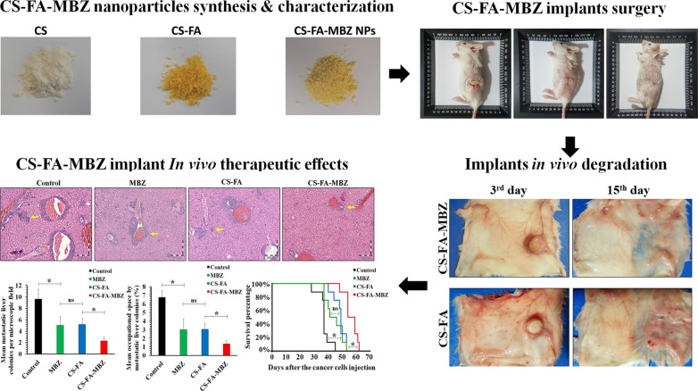 graphic file with name 12951_2022_1380_Figa_HTML.jpg