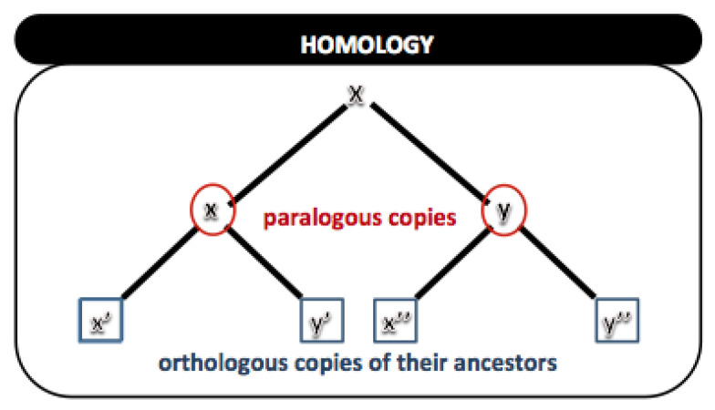 Figure 17