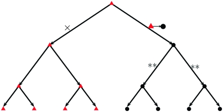 Figure 2.—