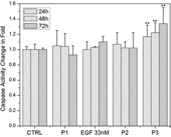 Fig.6