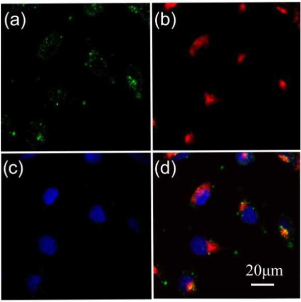 Fig.4